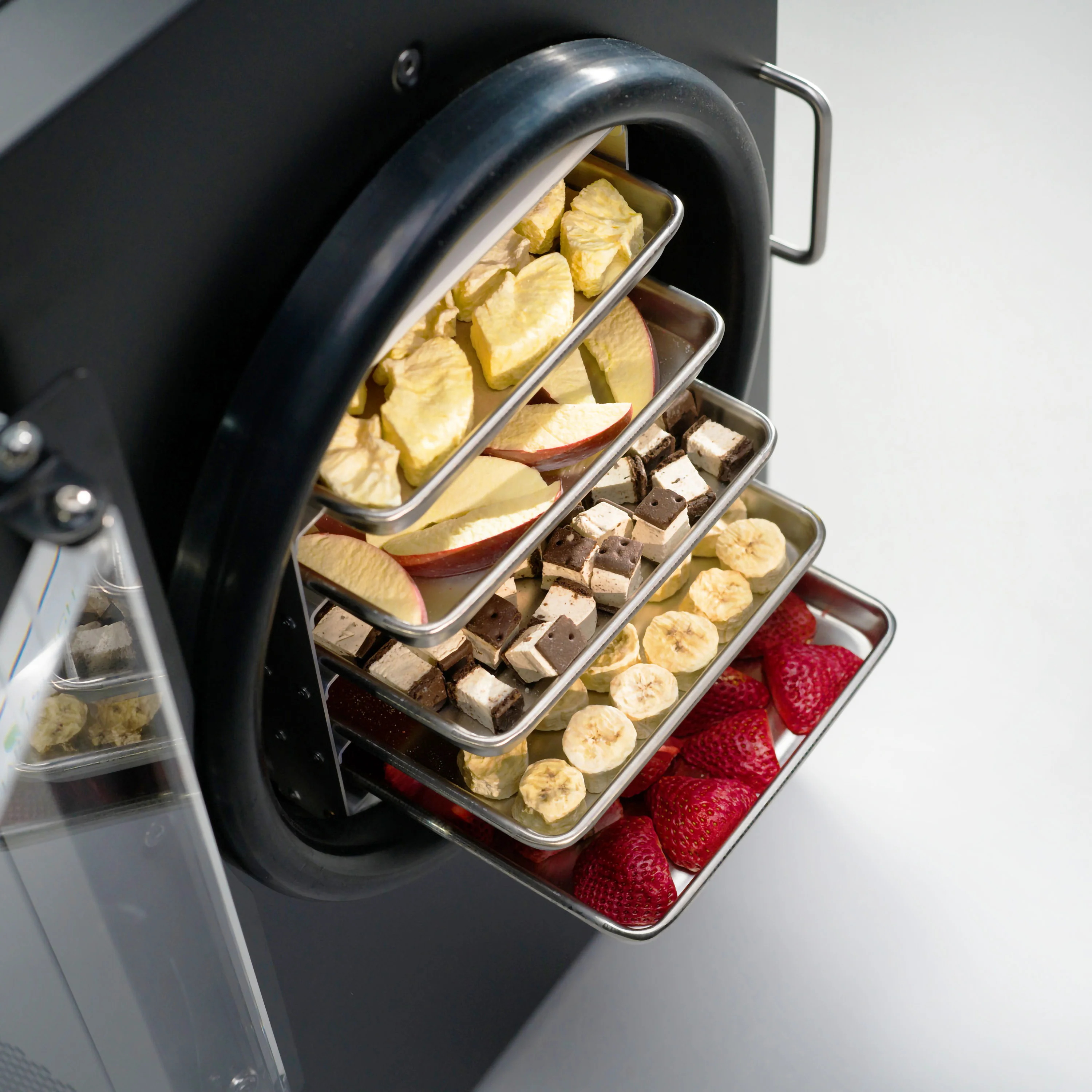 Home Freeze Dryer - Image 20