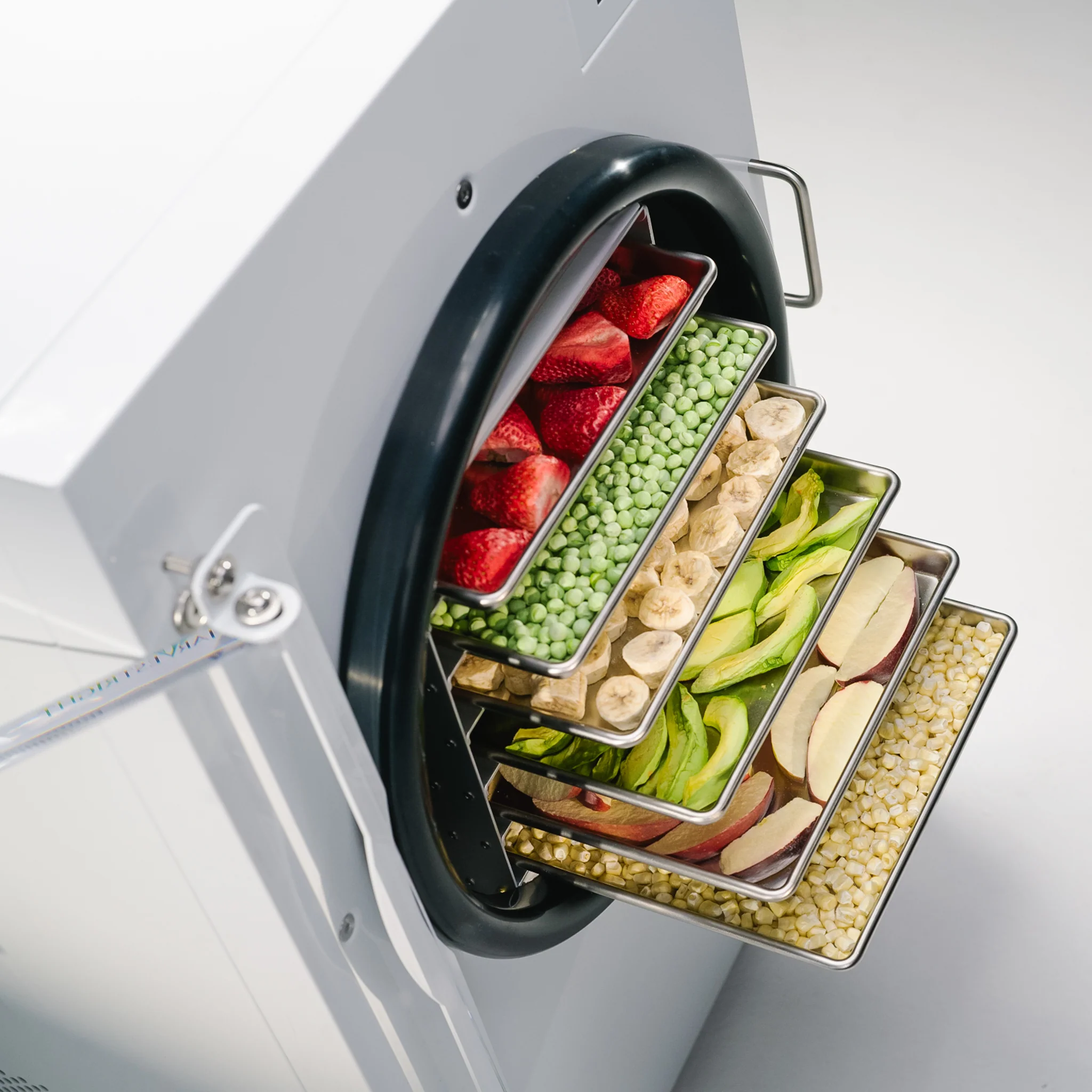 Home Freeze Dryer - Image 55