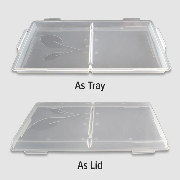 Tray Lids - Image 5